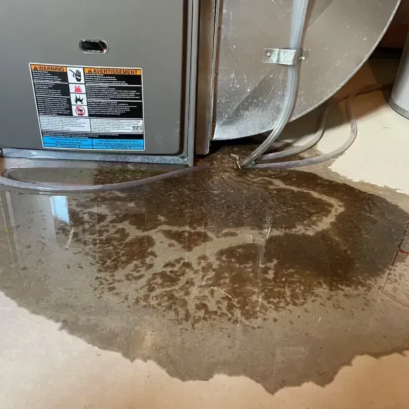 Appliance Leak Cleanup in Unionville, TN